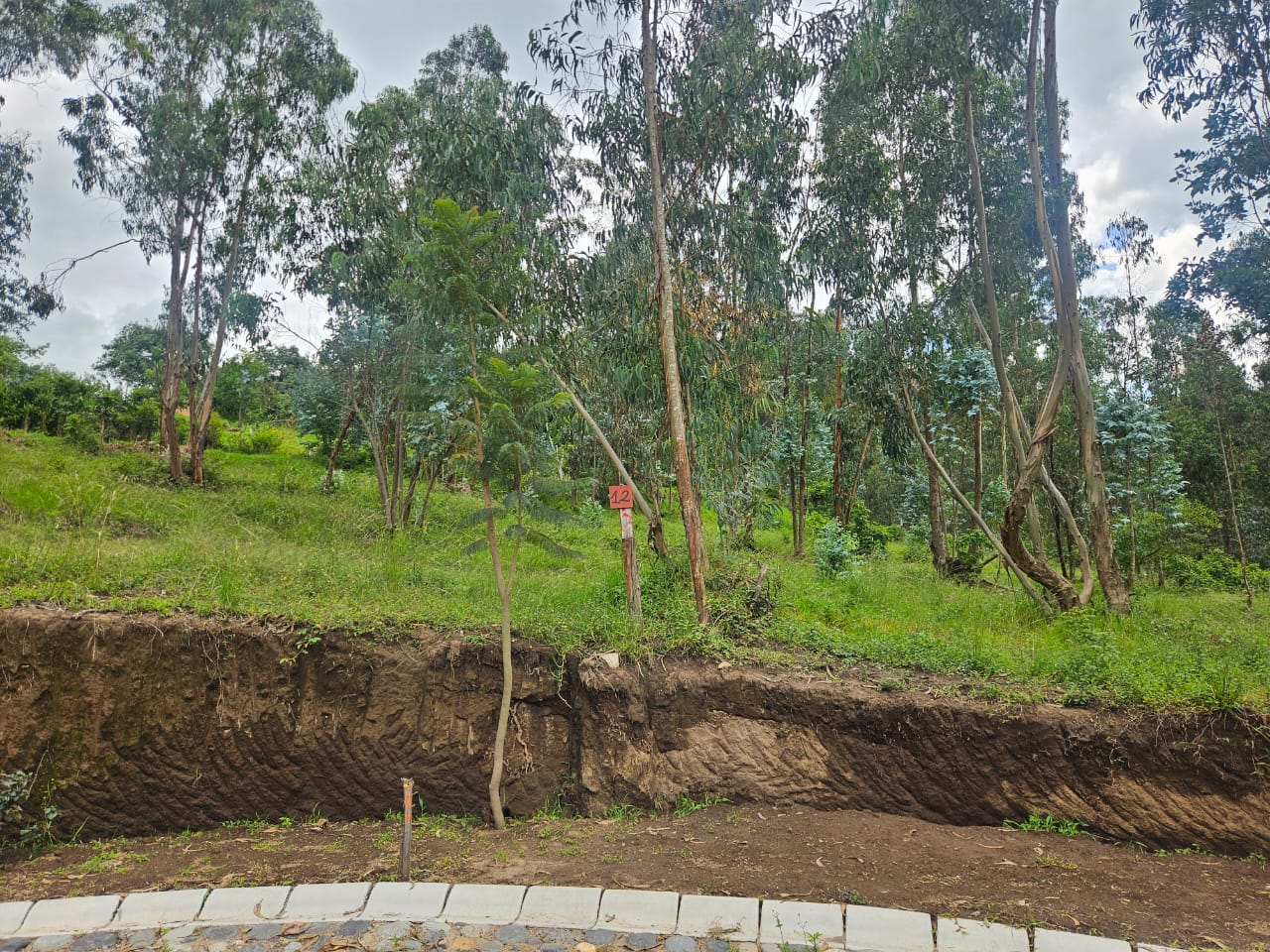 Urbanizacion BOSQAL - Chiviqui - Tumbaco - Quito