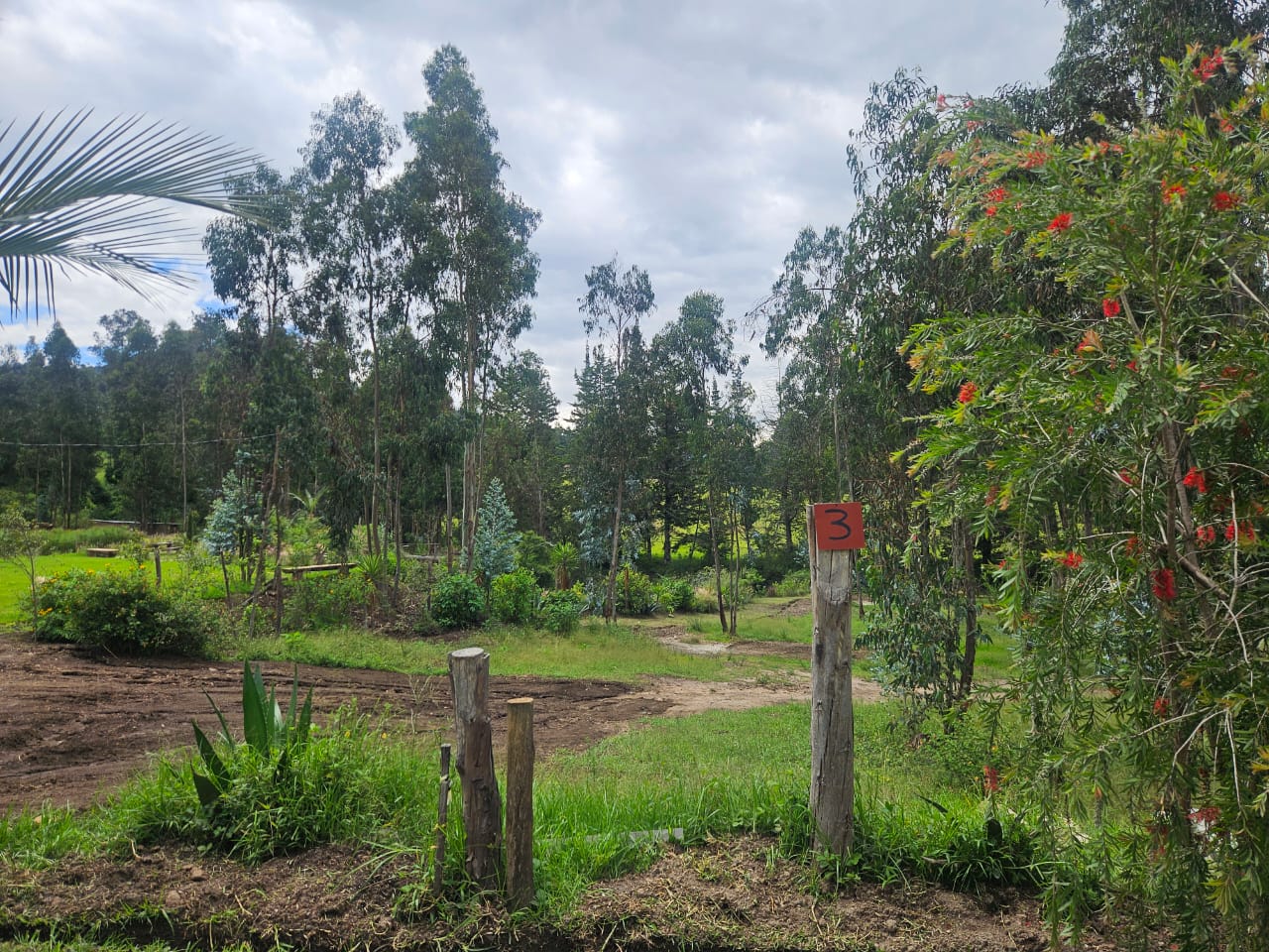 Urbanizacion BOSQAL - Chiviqui - Tumbaco - Quito