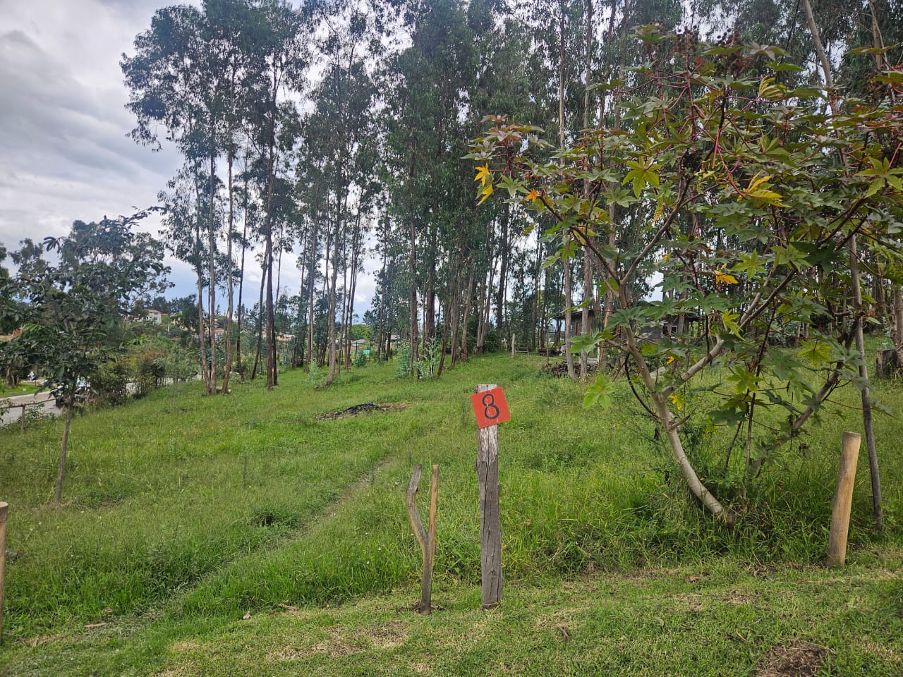 Urbanizacion BOSQAL - Chiviqui - Tumbaco - Quito