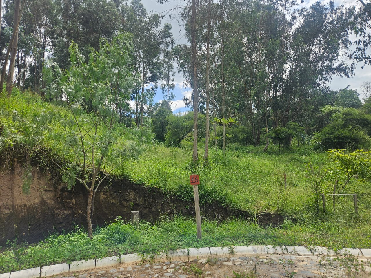 Urbanizacion BOSQAL - Chiviqui - Tumbaco - Quito