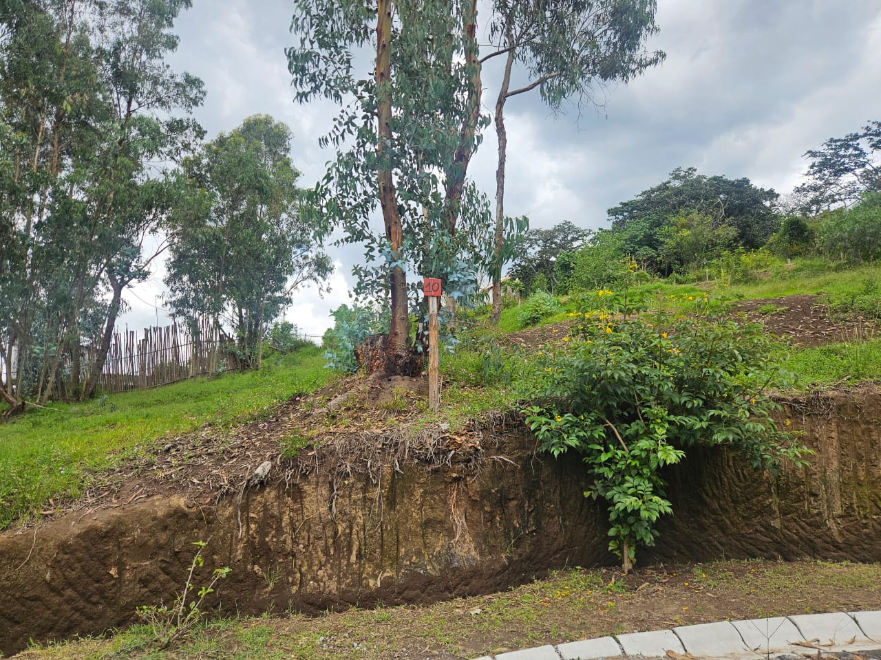 Urbanizacion BOSQAL - Chiviqui - Tumbaco - Quito