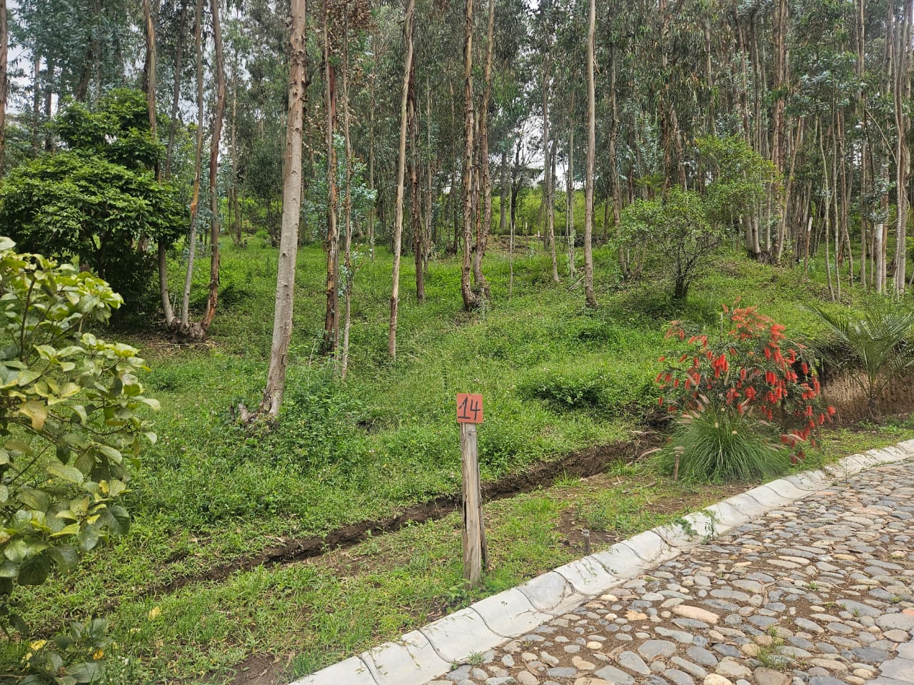 Urbanizacion BOSQAL - Chiviqui - Tumbaco - Quito