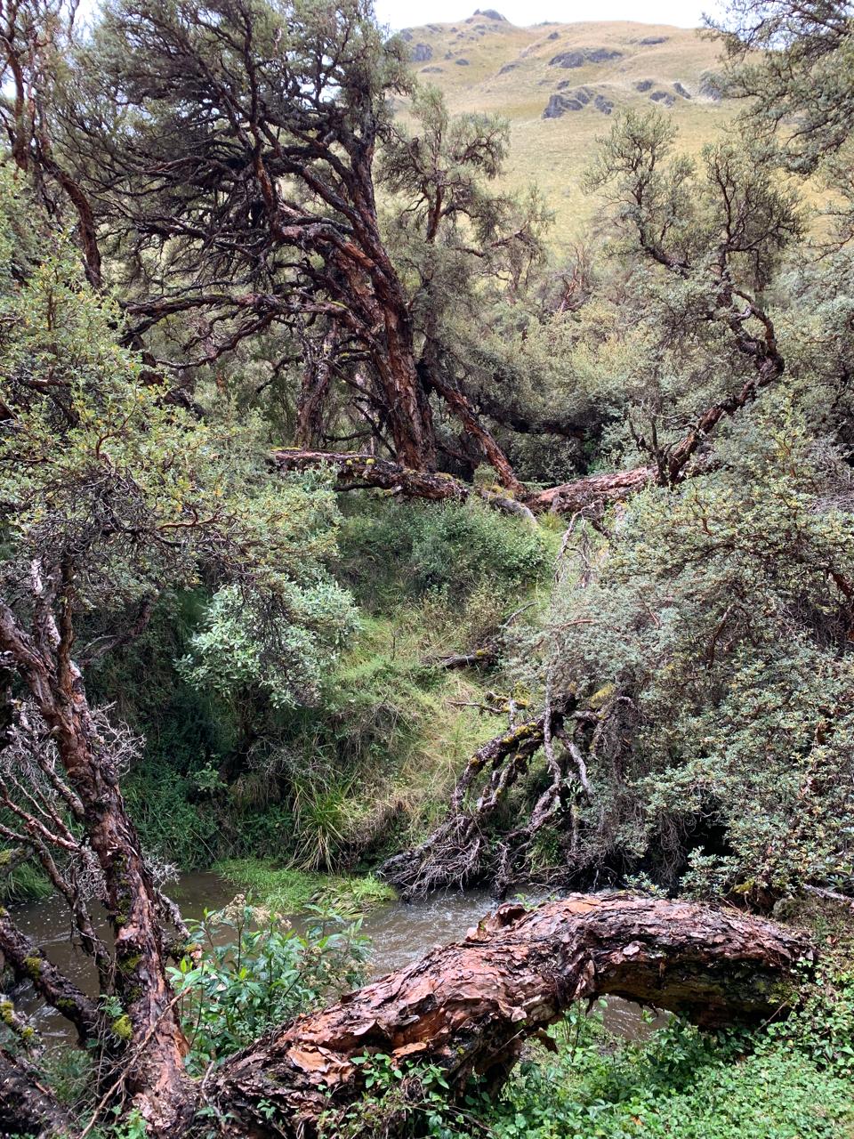 Lotes en urbanizacion OBSIDIANA - El Inga