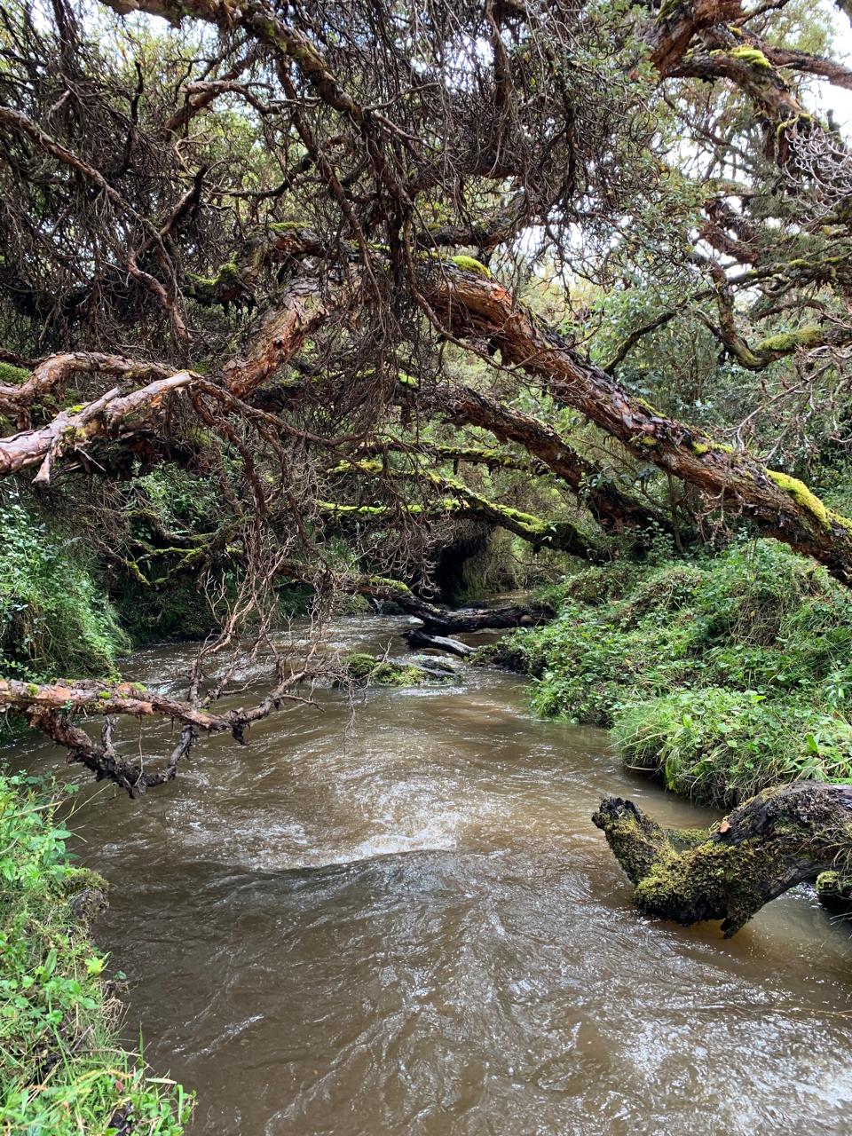 Lotes en urbanizacion OBSIDIANA - El Inga