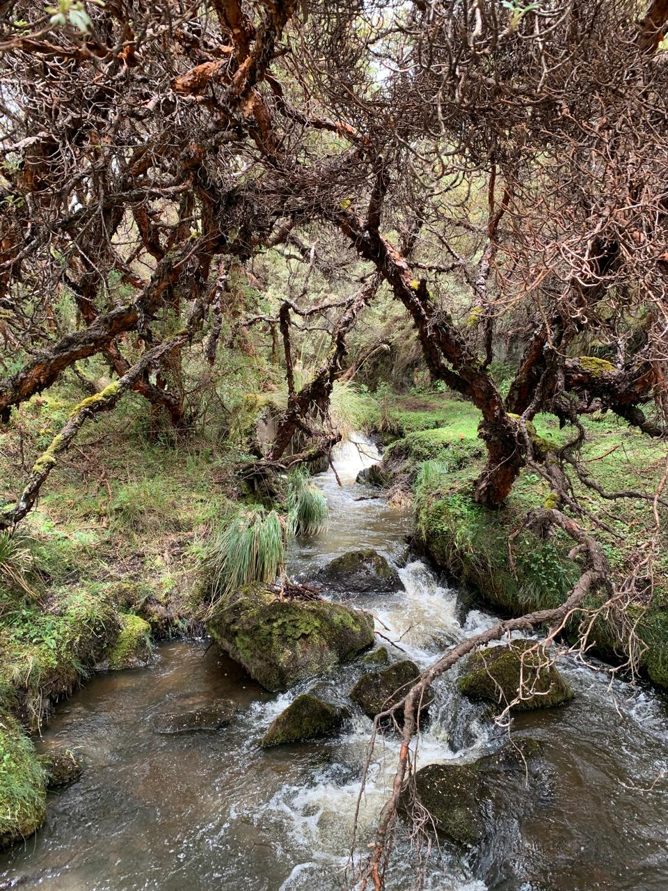 Lotes en urbanizacion OBSIDIANA - El Inga