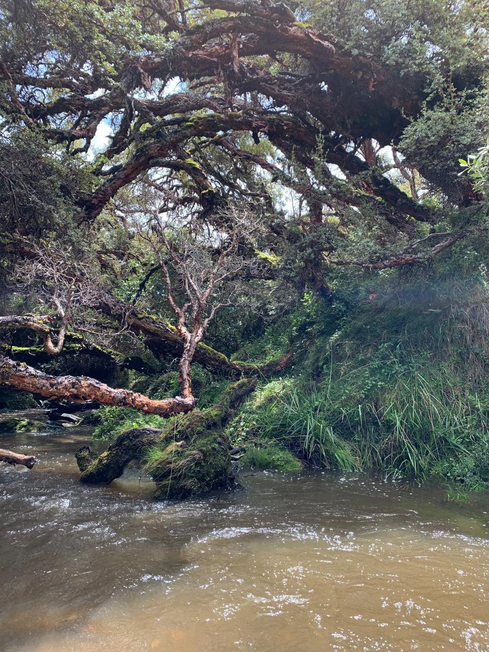 Lotes en urbanizacion OBSIDIANA - El Inga