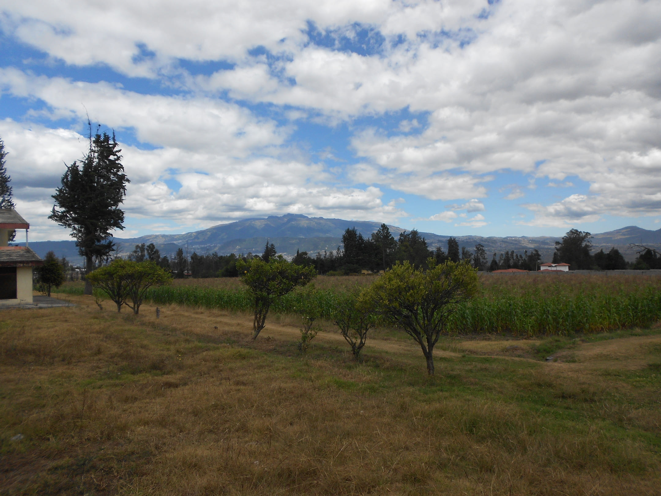 Terreno en via Pifo - Tababela
