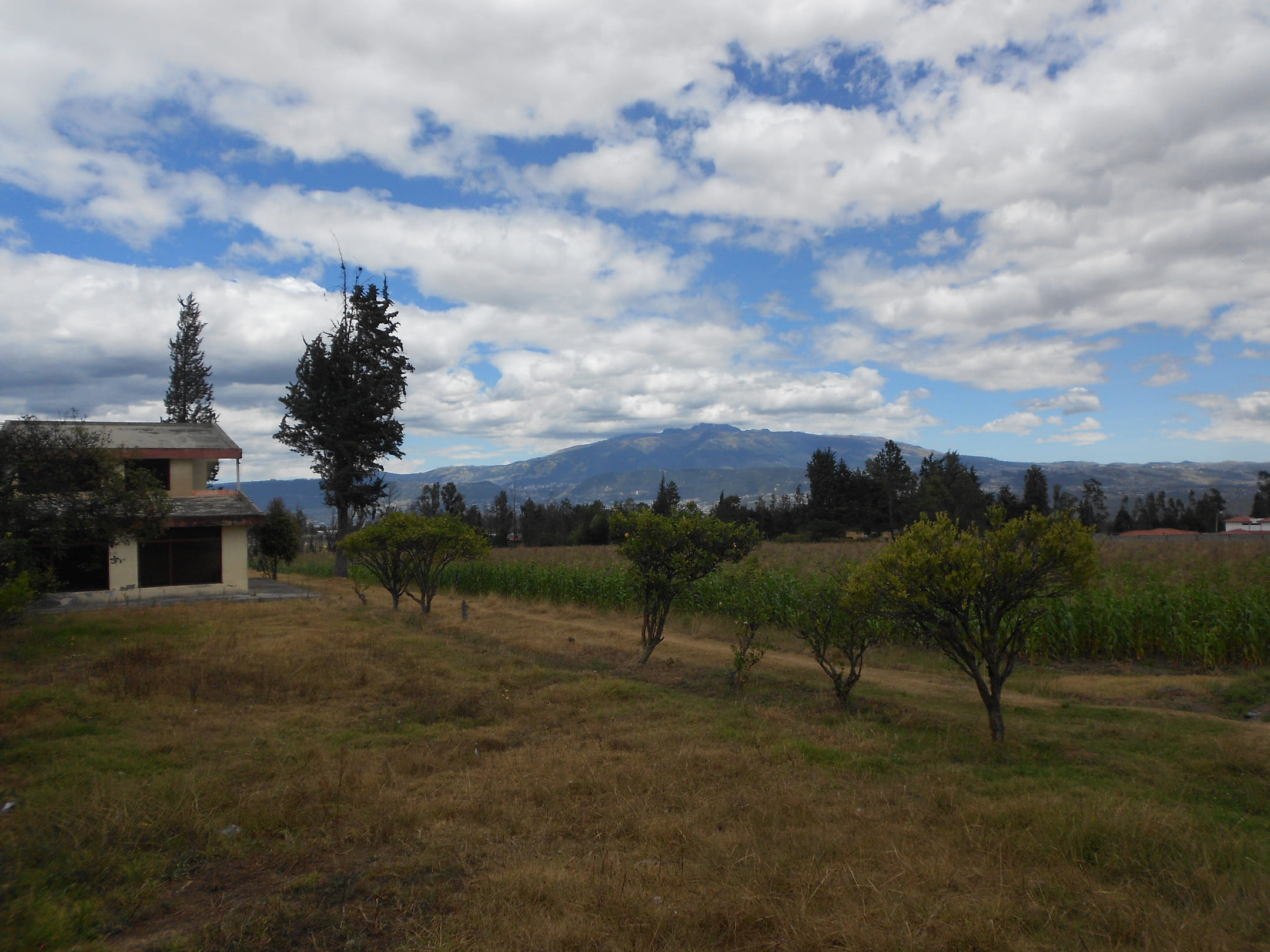 Terreno en via Pifo - Tababela
