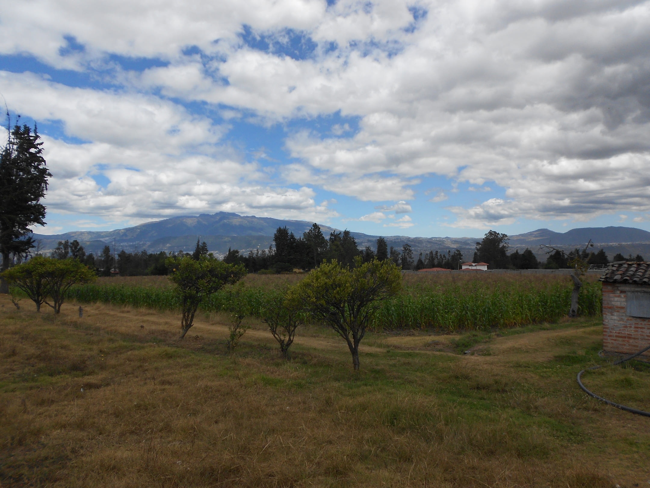 Terreno en via Pifo - Tababela