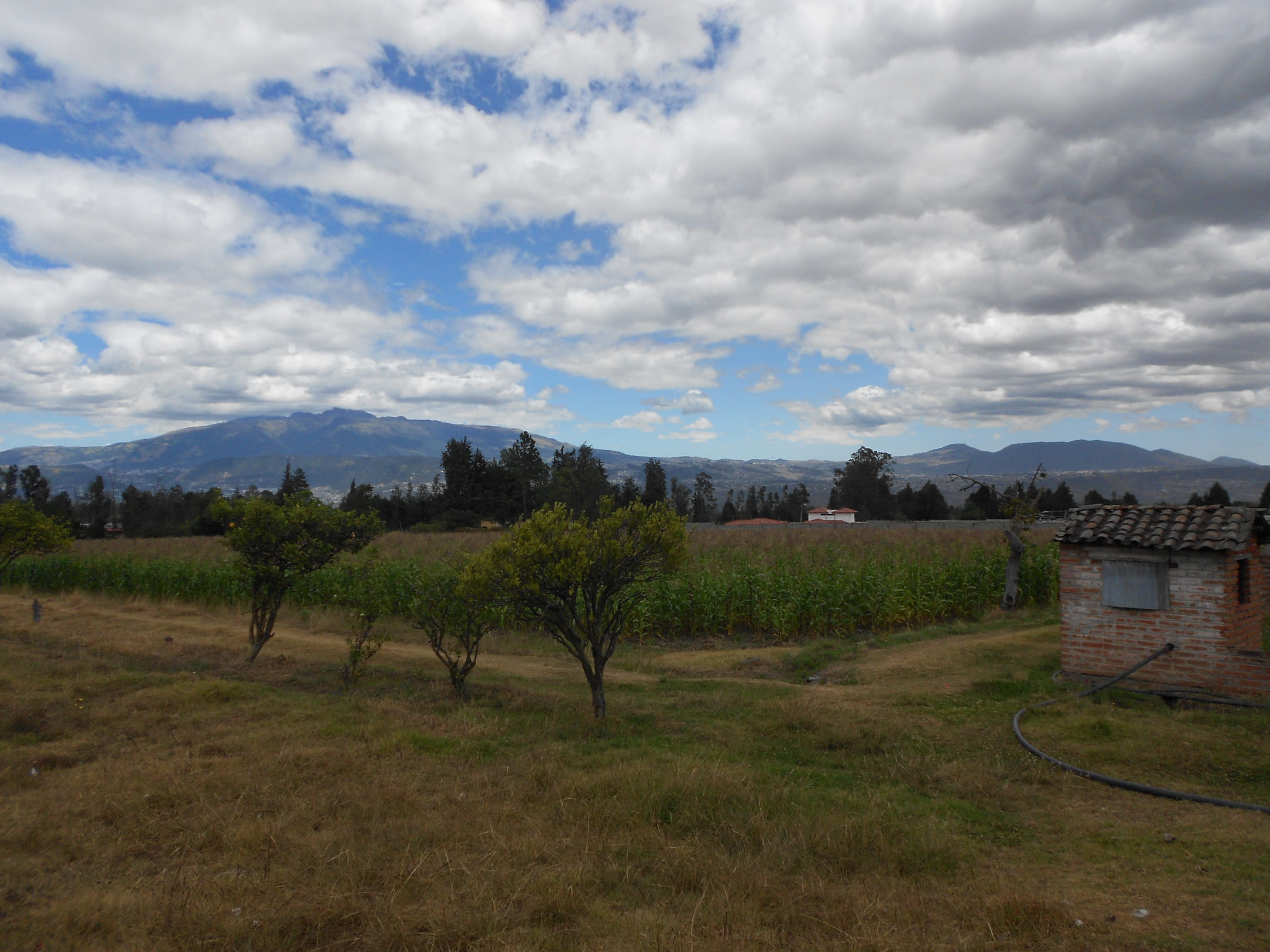 Terreno en via Pifo - Tababela