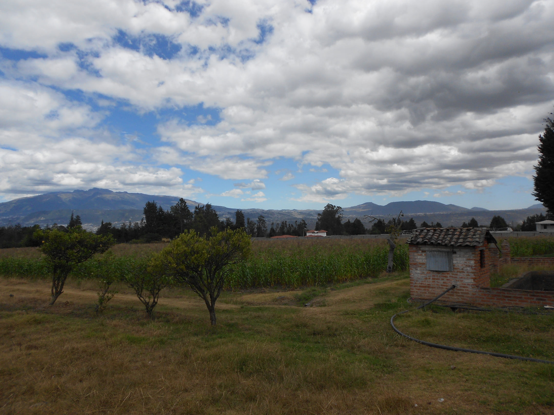 Terreno en via Pifo - Tababela