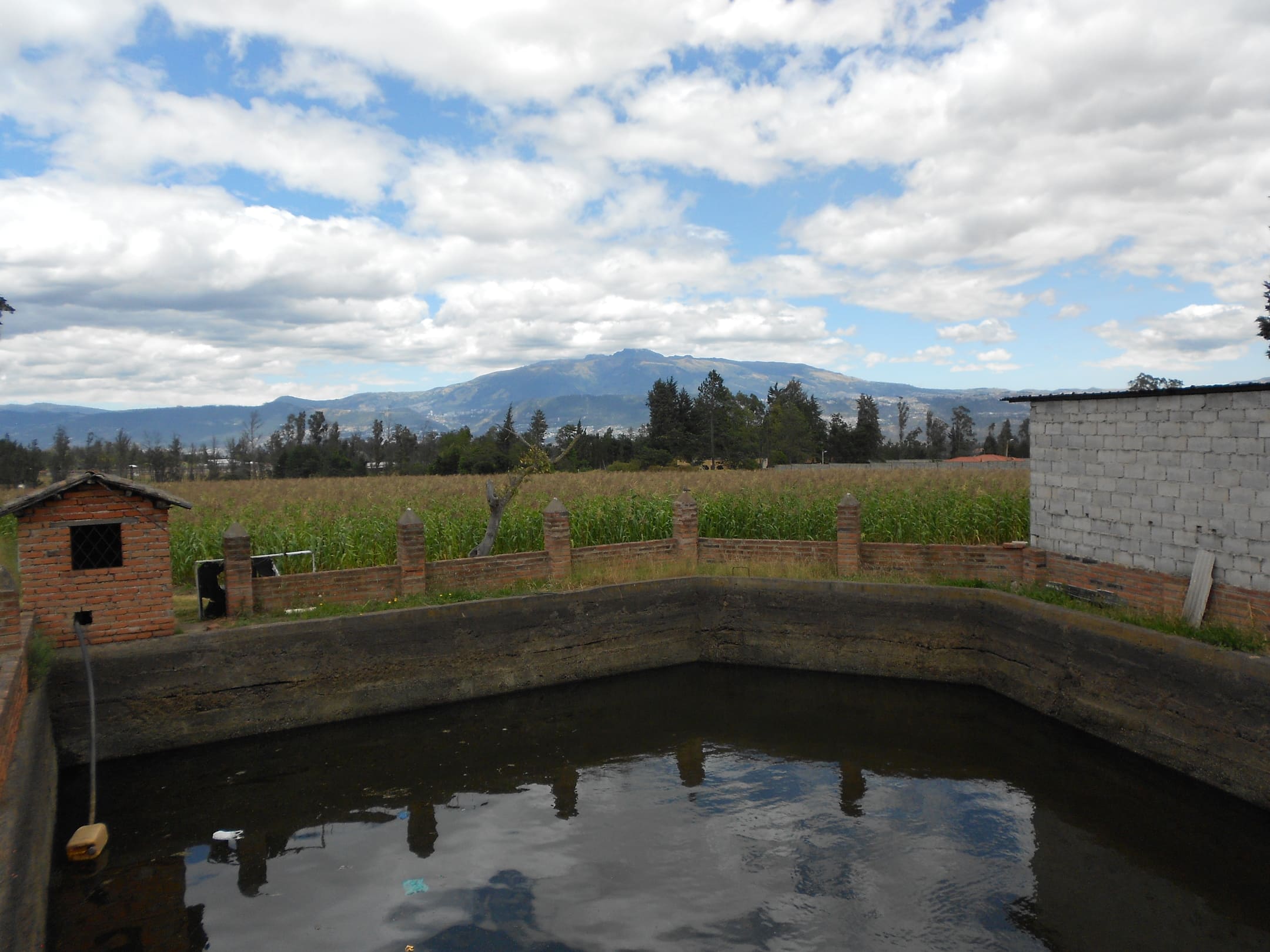 Terreno en via Pifo - Tababela