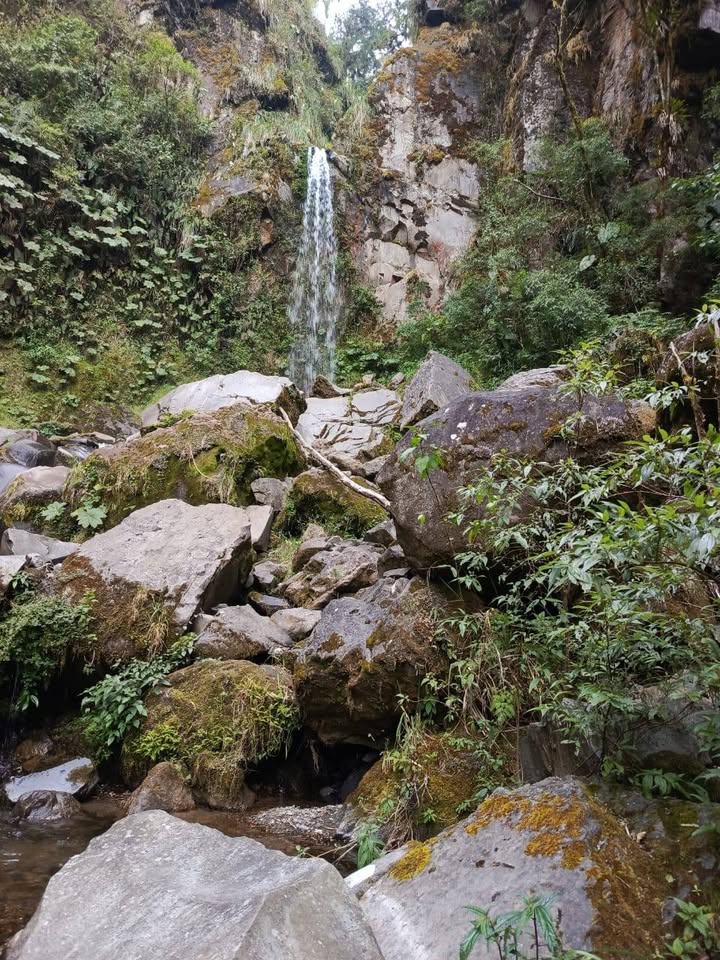 Finca en Intag 200 ha