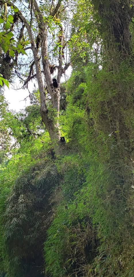 Finca en Intag 200 ha