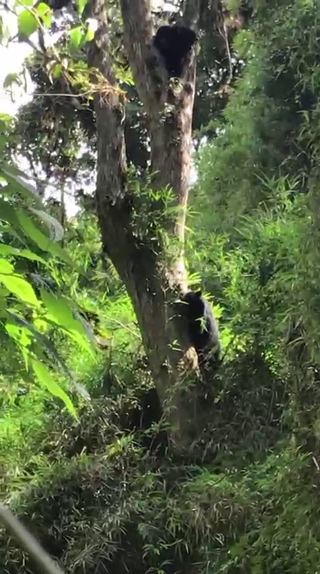 Finca en Intag 200 ha