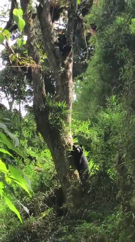 Finca en Intag 200 ha