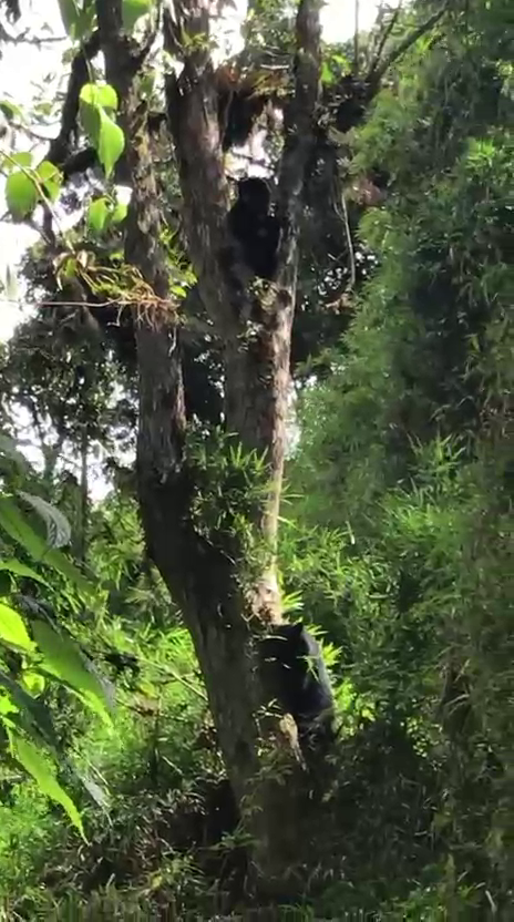 Finca en Intag 200 ha