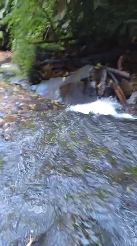 Finca en Intag 200 ha