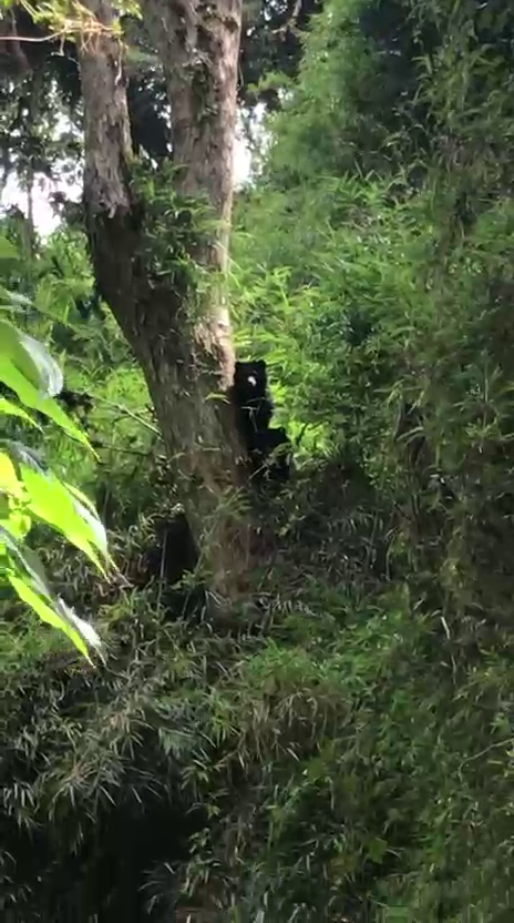 Finca en Intag 200 ha