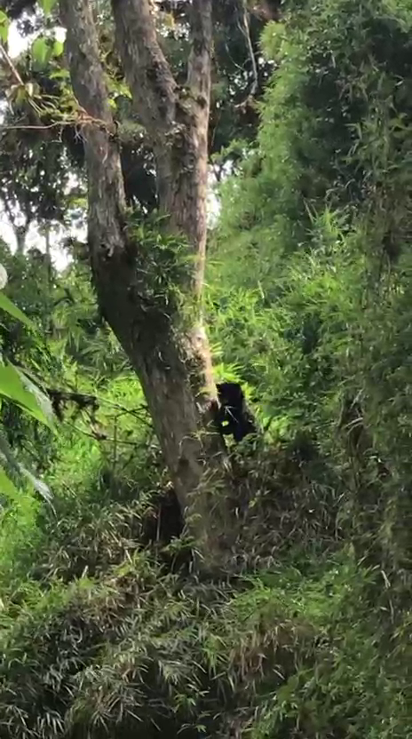 Finca en Intag 200 ha