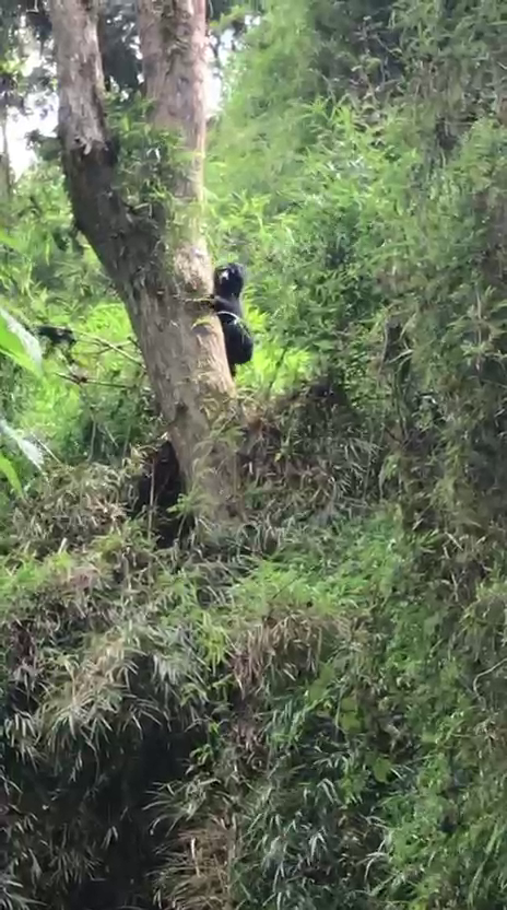 Finca en Intag 200 ha