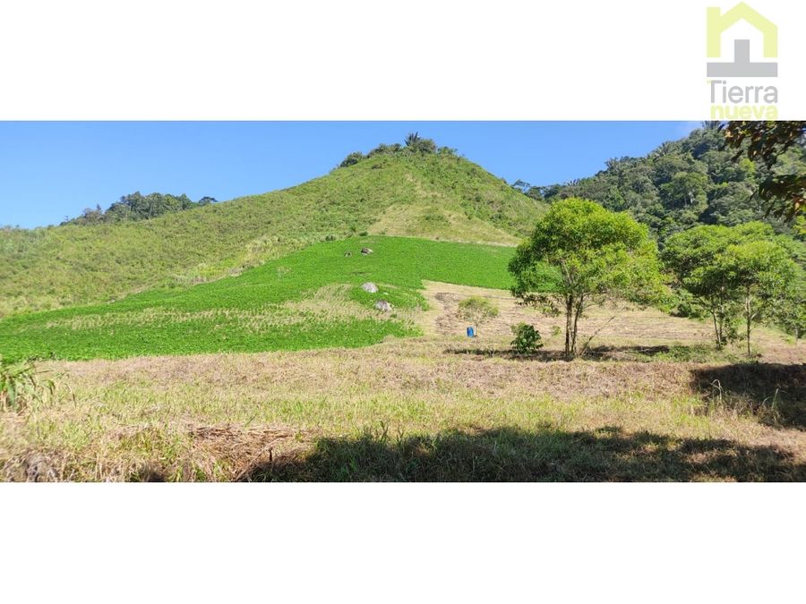 Finca en Intag 10 ha