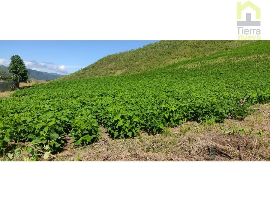 Finca en Intag 10 ha