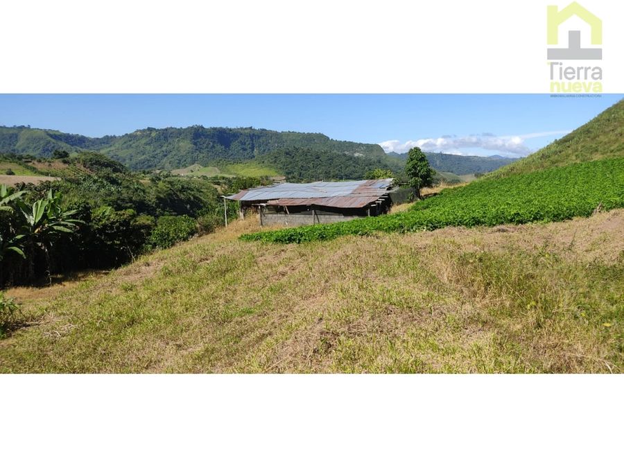 Finca en Intag 10 ha