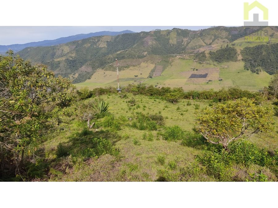 Finca en Intag 15 ha