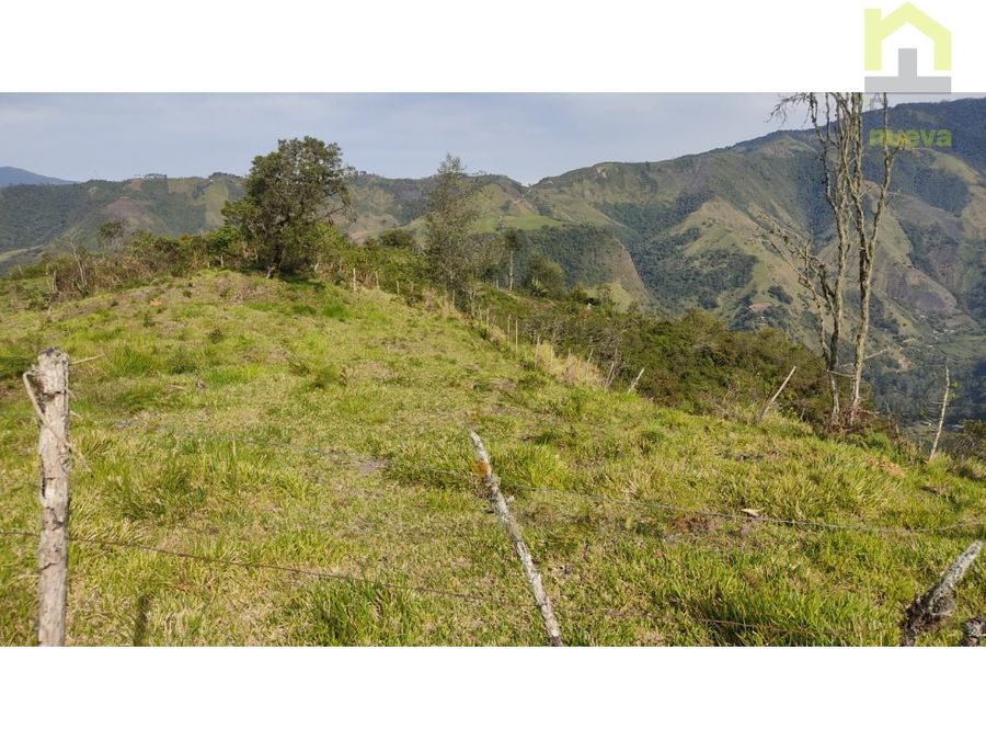 Finca en Intag 15 ha