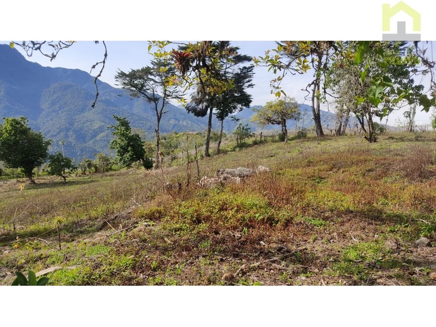 Finca en Intag 15 ha