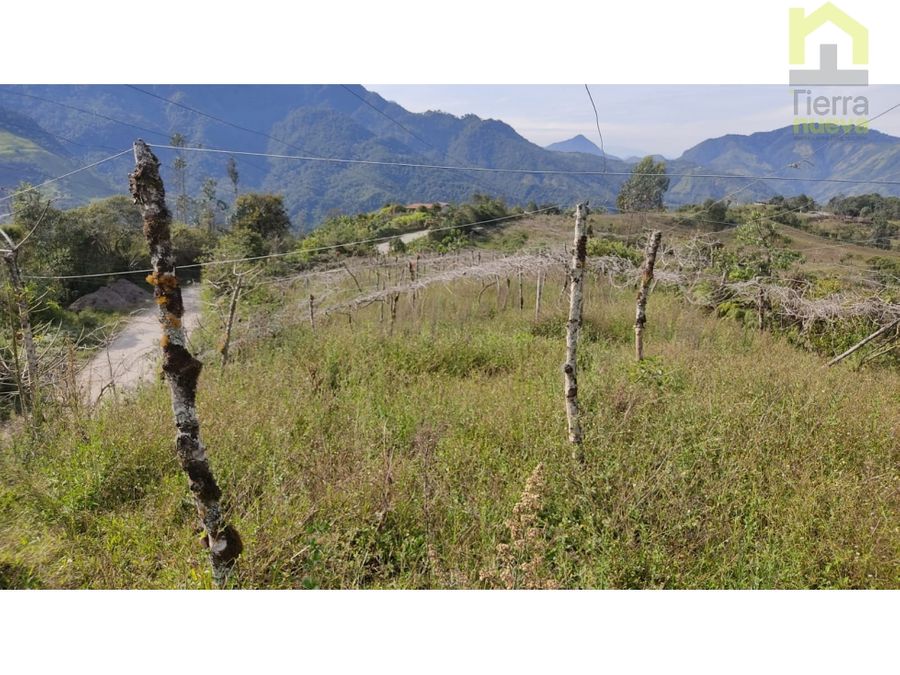 Finca en Intag 15 ha