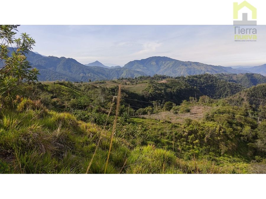 Finca en Intag 15 ha