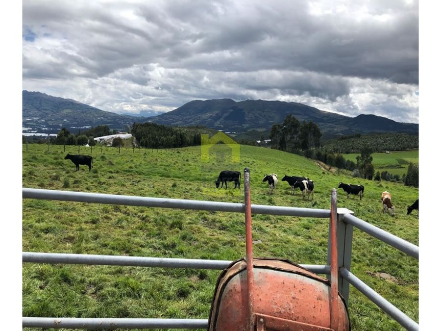 Finca en Cayambe 4,5 ha
