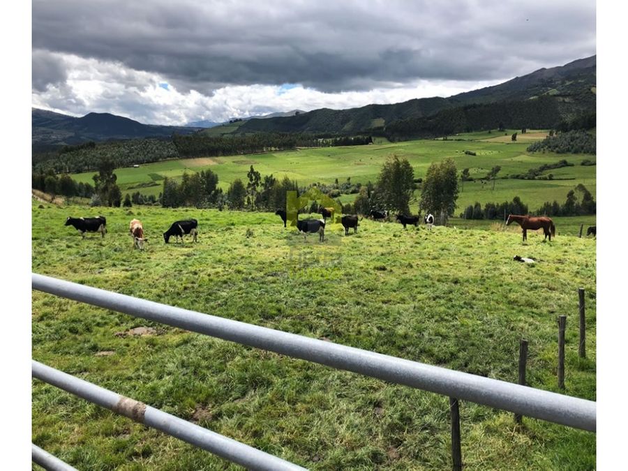 Finca en Cayambe 4,5 ha