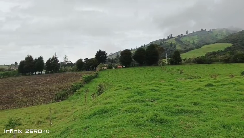 Finca en Selva Alegre - Imbabura