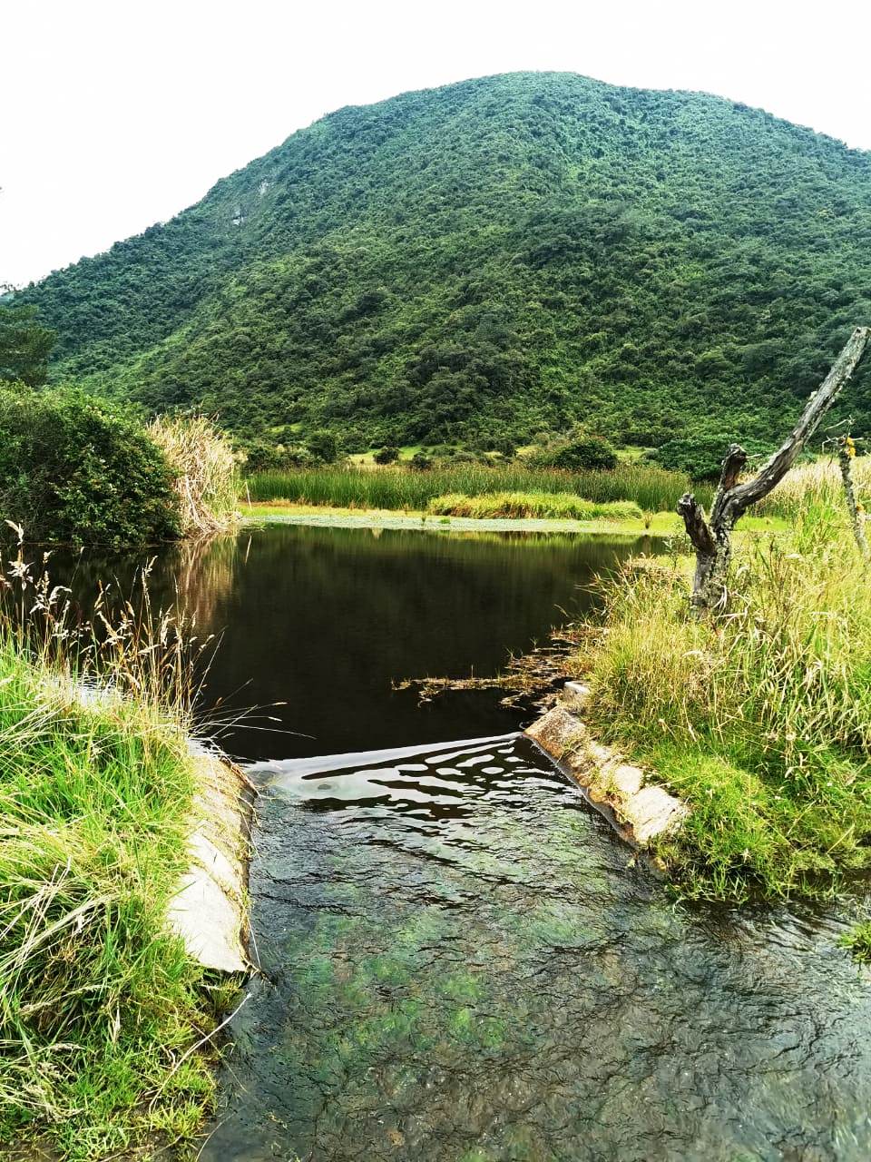 Finca en Selva Alegre - Imbabura 145 ha