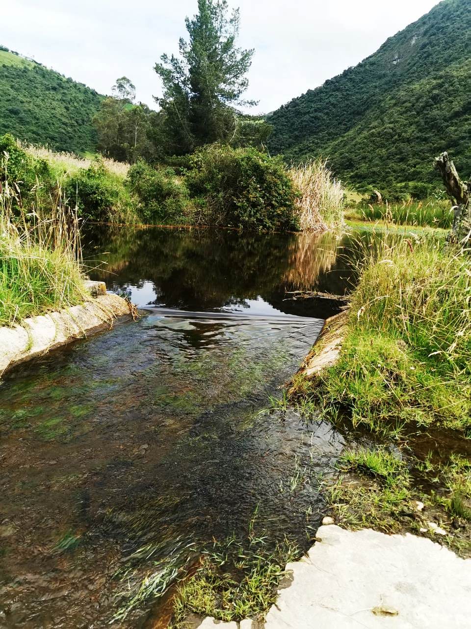 Finca en Selva Alegre - Imbabura 145 ha