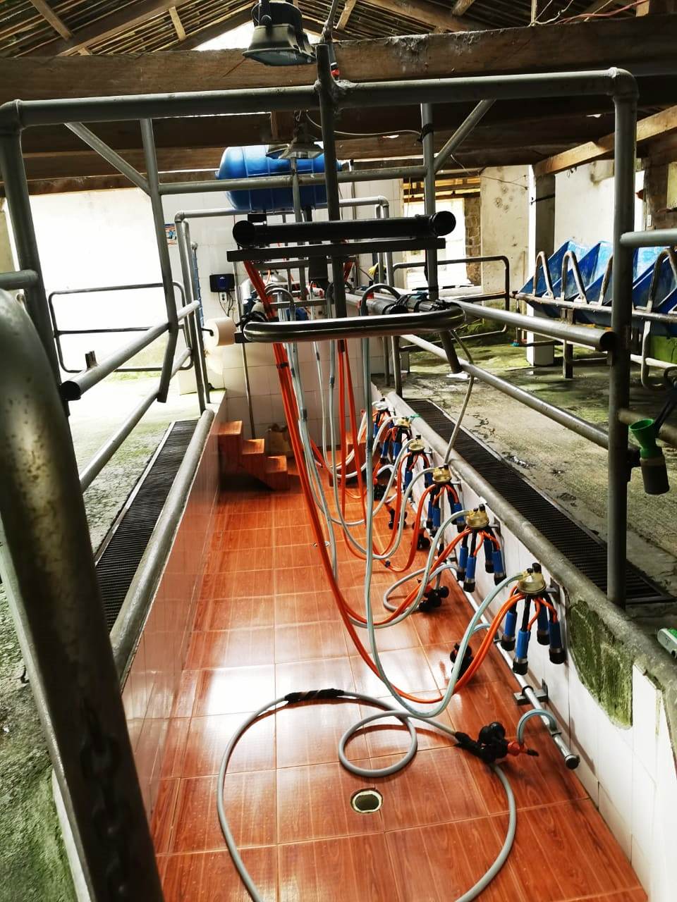 Finca en Selva Alegre - Imbabura 145 ha