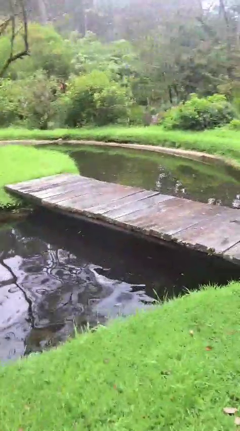 Finca en Otavalo 153 ha