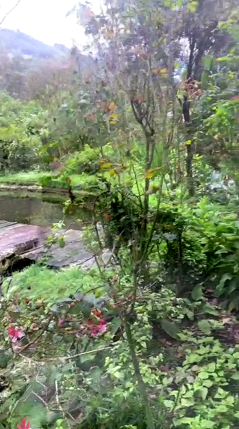 Finca en Otavalo 153 ha