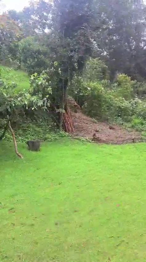 Finca en Otavalo 153 ha