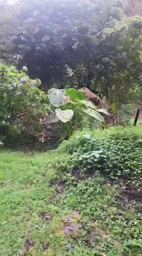 Finca en Otavalo 153 ha