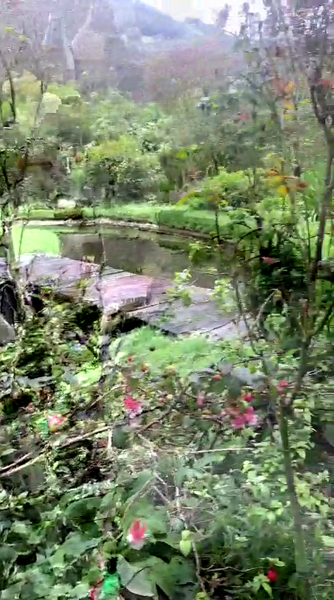 Finca en Otavalo 153 ha