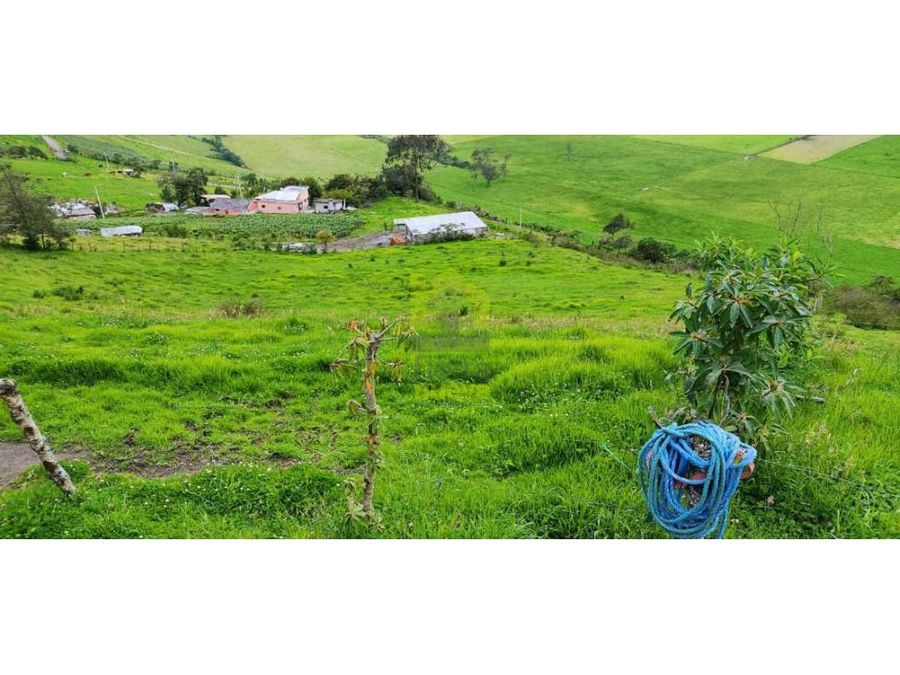 Finca en 0tavalo 3,5 ha