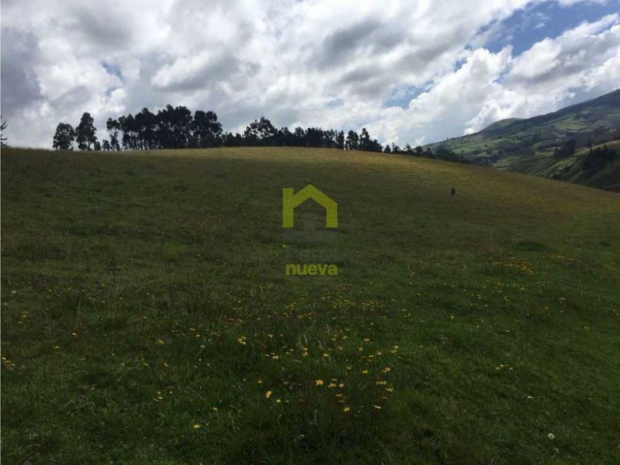 Terreno en lago San Pablo 2,8 ha