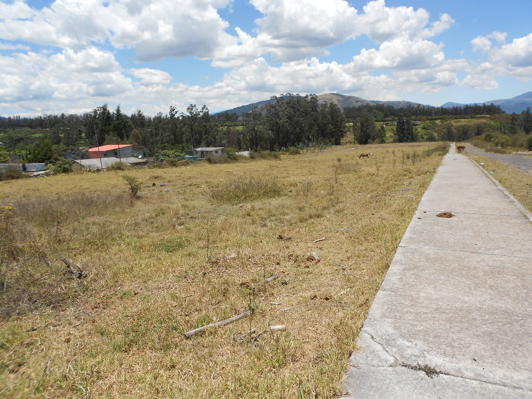 Terreno en Pifo 7,88 ha