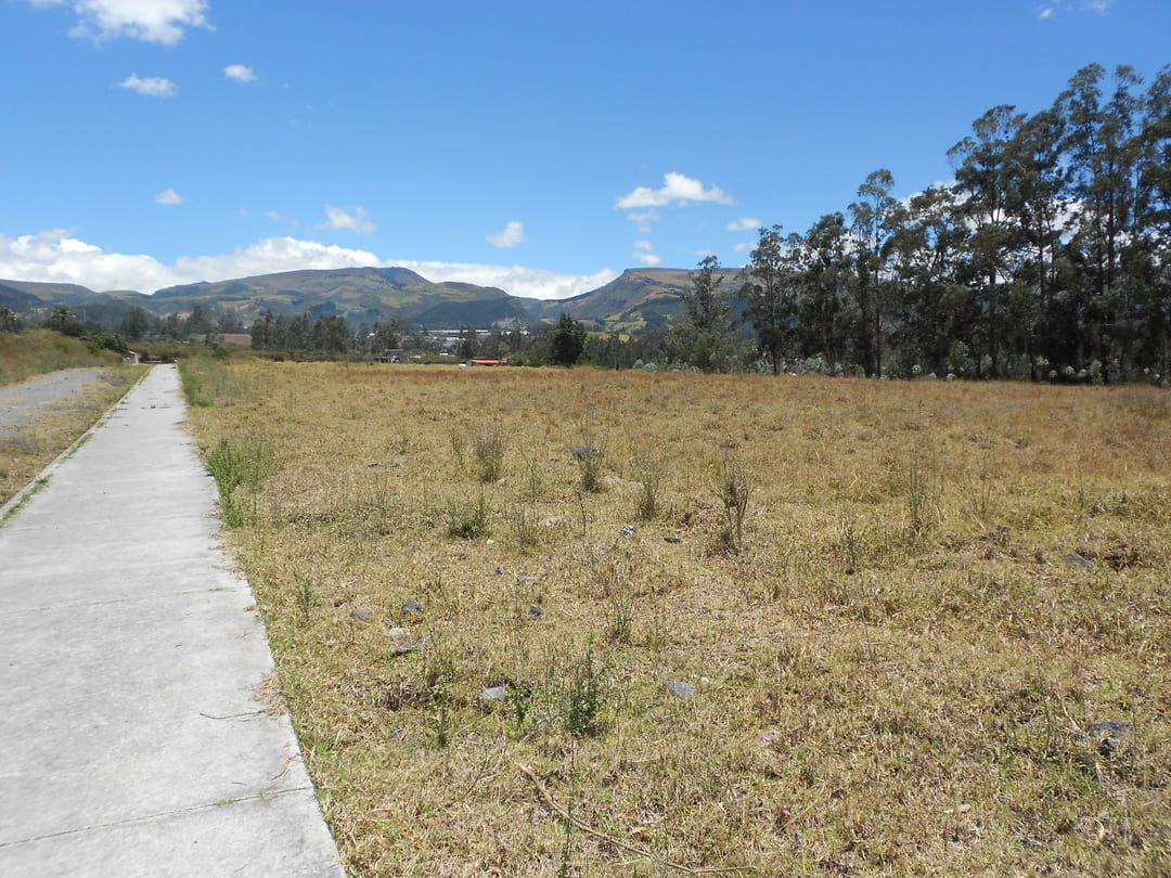 Terreno en Pifo 7,88 ha