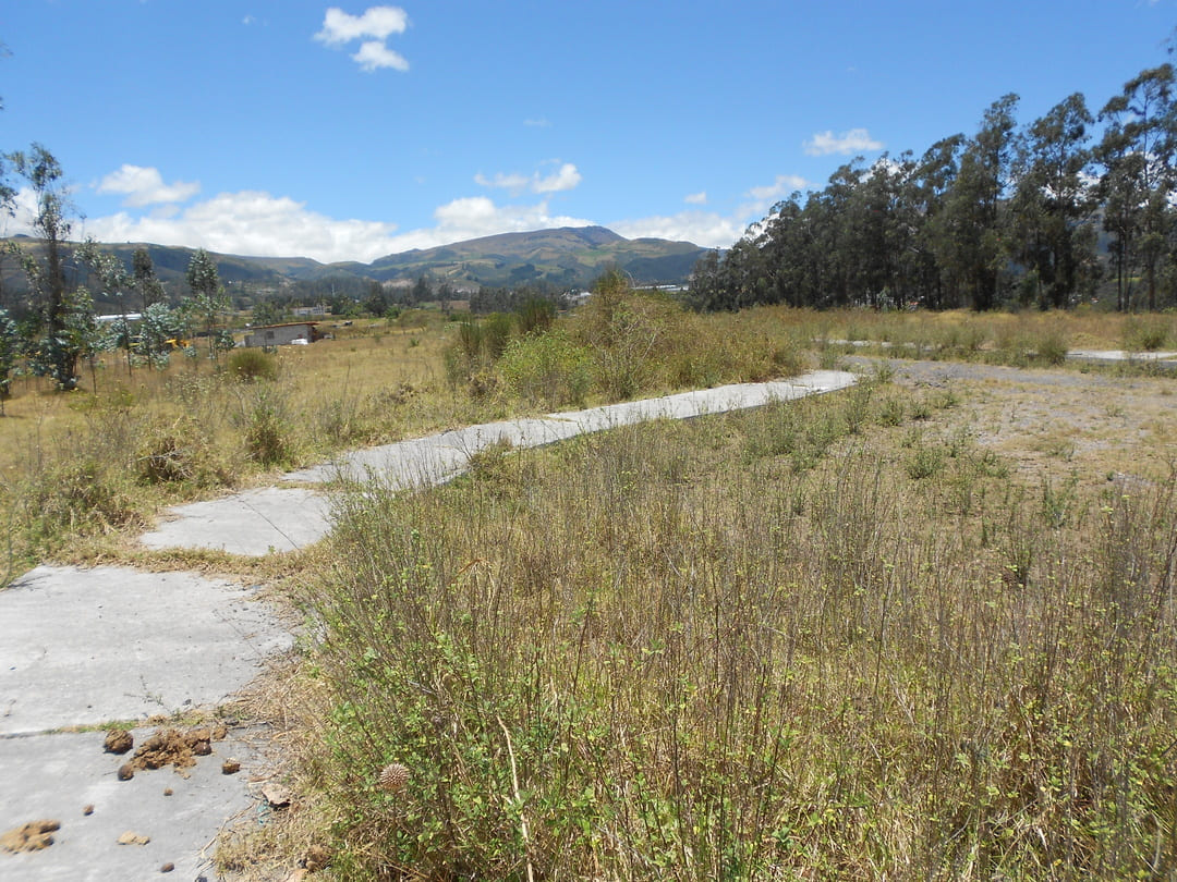 Terreno en Pifo 7,88 ha