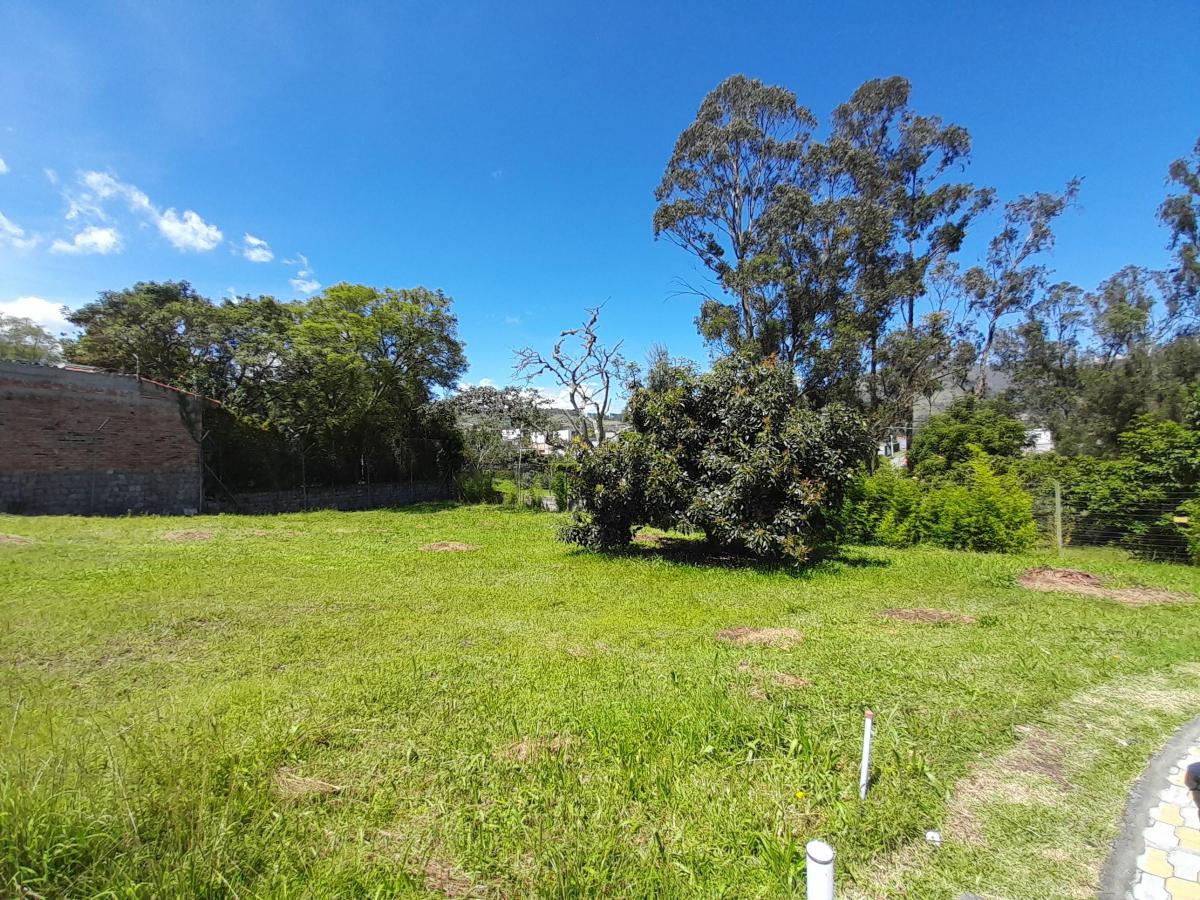 Terreno en La Morita 603 m2